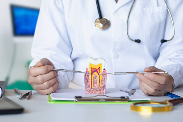 Best Pediatric Emergency Dentist in Magnet Cove, AR